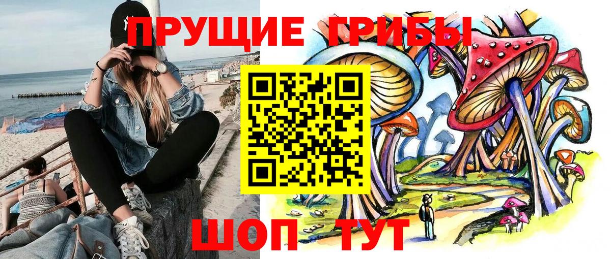 Псилоцибиновые грибы Magic Shrooms Красногорск