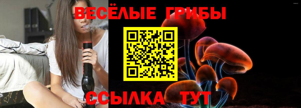 Псилоцибиновые грибы мухоморы  Вход с VPN  Красногорск 